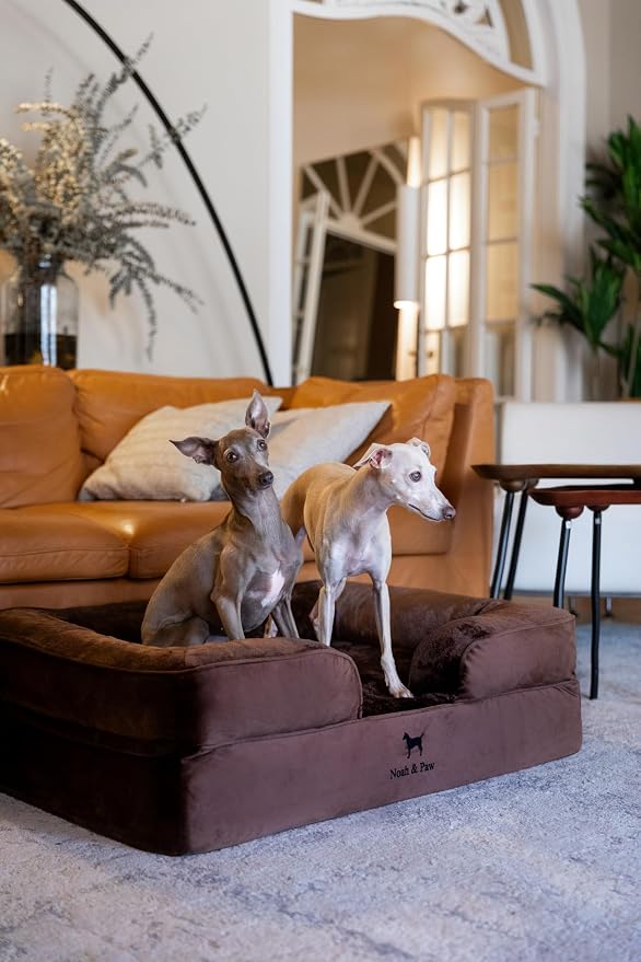 NOAH & PAW Large Dog Bed, 35x25x11 Inch, Orthopedic Dog Beds, Eggshell Memory Foam Infused with Cooling Gel, Inner Cover, Water Resistant, Machine Washable (Velvet Sofa Collection)