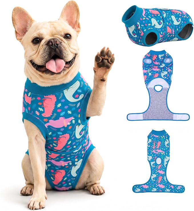PetWarm Surgical Suit for Dogs, Dog Coat's Inner Clothes, Substitute E-Collar and Cone Prevent Licking Recovery Suit, Female Male Dog Onesie for Spay Neuter, Dinosaur Pattern, Multi-Colored, XS