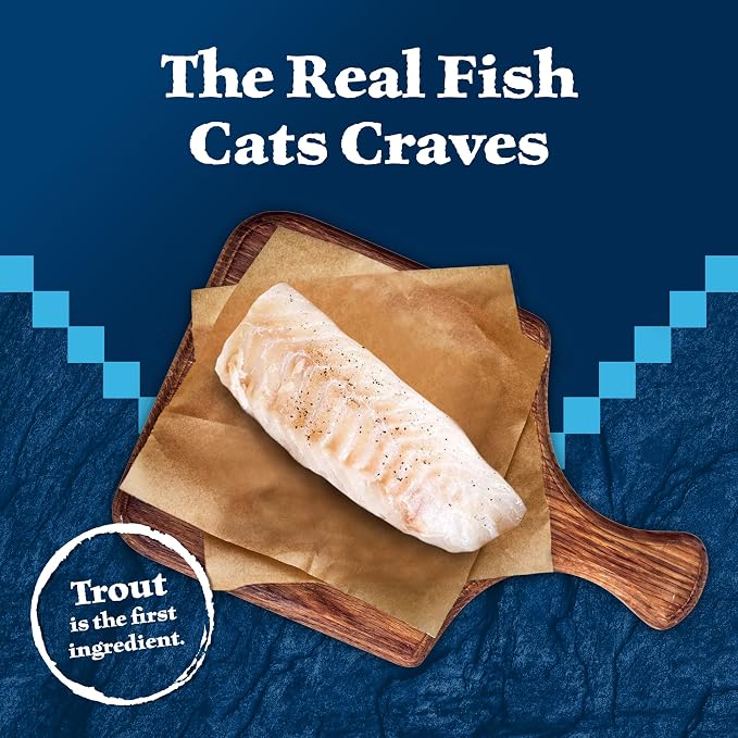 Blue Buffalo Wilderness Rocky Mountain Recipe Wet Cat Food Flakes (24 Pack) | Flaked Trout in Tasty Gravy, Grain-Free & Chicken-Free, High Protein, Made with Natural Ingredients, 5.5-oz. Cans