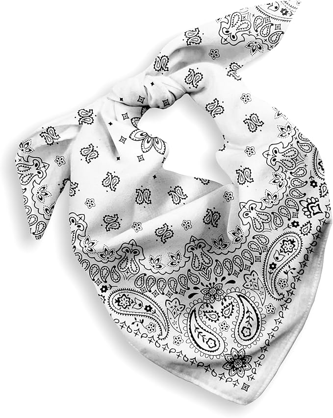 Gift Packaging Bandana for Men Women - 100% Cotton, Paisley, 22x22 In, 1 Pack - Large Bandanna Handkerchief Cowboy Hanky