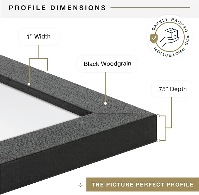 MCS Studio Gallery 19.75x27.5 Poster Frame Black Woodgrain Engineered Wood, Vertical & Horizontal Wall Hanging Large Picture Frame for Photos, Posters & Art Prints (1-Pack)