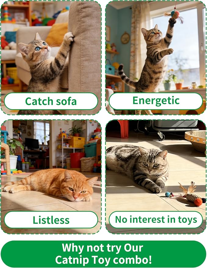 PET SHOW 12 Pack Catnip Toys for Indoor Cats Kitten Crinkle Balls