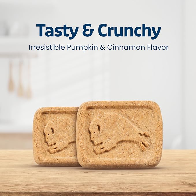 Blue Buffalo Health Bars Pumpkin & Cinnamon Dog Biscuits, 16 oz | Oven-Baked, Crunchy Texture, No Chicken By-Product, Corn, Wheat, or Soy