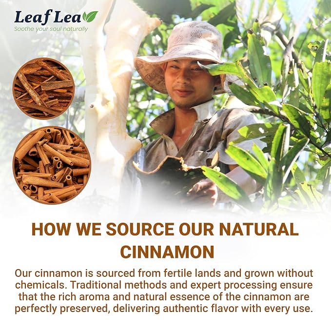 LeafLea Cinnamon Tea Bags, Warming Spice Family Value, 120 Count | Pure Single-Ingredient Cinnamon, Sugar-Free, Caffeine-Free, Individually Foil-Wrapped, 3-Box Stock-Up, Vegan, Non-GMO