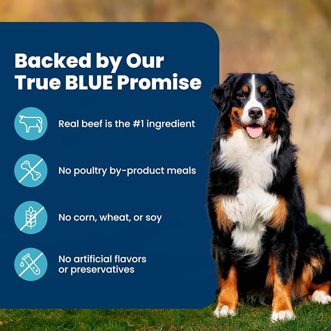 Blue Buffalo Life Protection Formula Beef Adult Dry Dog Food, 30 lb | Real Beef #1 Ingredient, Supports Immunity with Antioxidant-Rich LifeSource Bits, Promotes Healthy Muscle Development