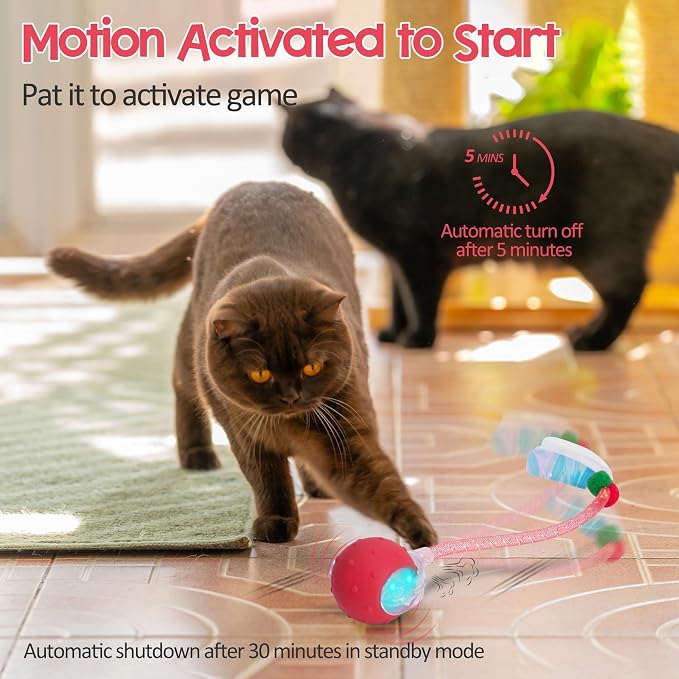 Interactive Cat Toys Ball,Automatic Moving Ball Toy,Rechargeable