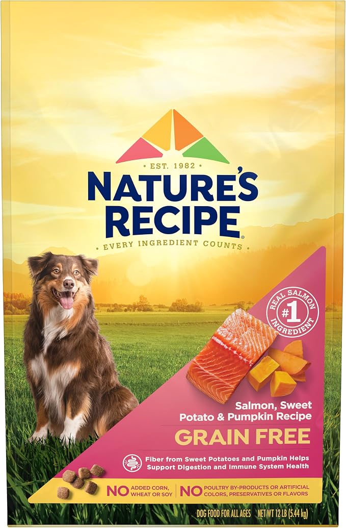 Nature's Recipe Grain Free Dry Dog Food, Salmon, Sweet Potato & Pumpkin Recipe, 12 lb. Bag | Fiber From Sweet Potatoes & Pumpkin Helps Support Digestion and Immune System Health