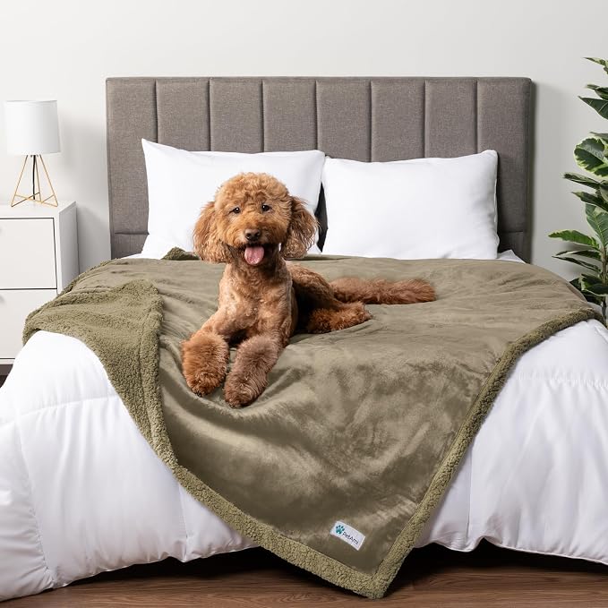 PetAmi Waterproof Dog Blanket for Large Dog Pet, 90x90 Queen, Taupe Sherpa | 460 GSM Sherpa Fleece Reversible, Pee Proof Cat Blanket, Furniture Protector Cover for Bed Sofa Kennel, Washable, Queen Size