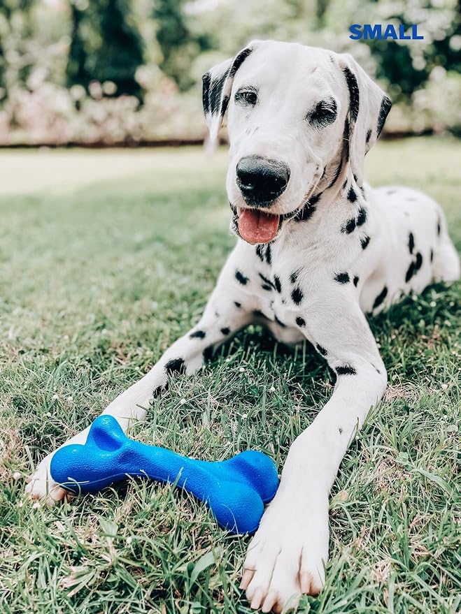 SuperChewer Tough Dog Bone Toy | Lifetime Replacement | Strong Natural Rubber | Great Dog Fetch Toy | Chew Toys for Dogs | Ultra Durable Chew Toys for Moderate Chewers | Large Breed Tested
