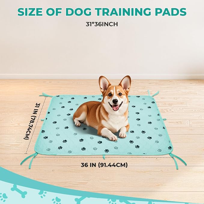 Fostanfly Washable Dog Pee Pads, Ultra-Absorbent, 31"x36"-2 Pack, Green | Leak-Proof, Waterproof, Non-Slip, Large Reusable Pee Pads for Puppy Potty Training, Crate and Playpen with 8 Tie Straps
