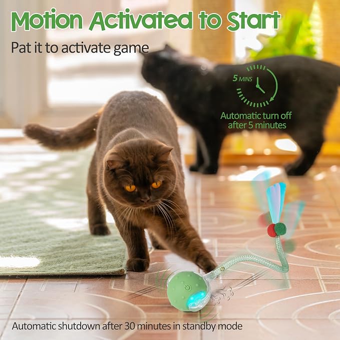 Interactive Cat Toys Ball,Automatic Moving Ball Toy,Rechargeable