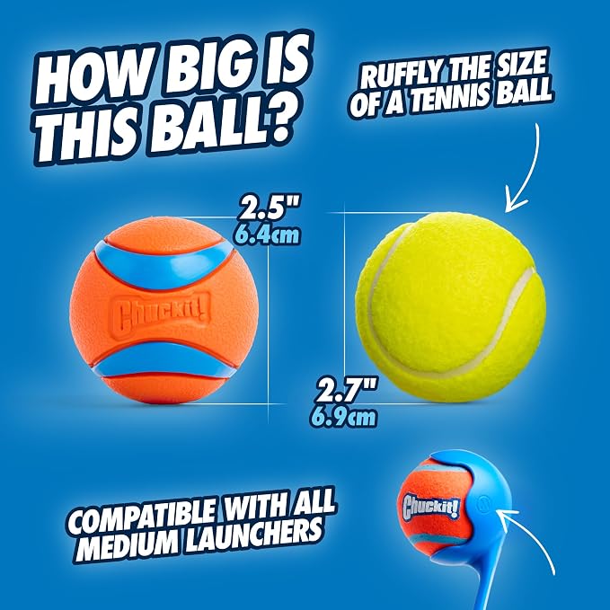 Chuckit! Ultra Ball Dog Toy, Durable Rubber, Medium 2.5-in, 2 Pack | Made from Durable Rubber with an Extra-Thick Core, This Bouncy Fetch Ball Floats in Water for Lasting Games of Fetch