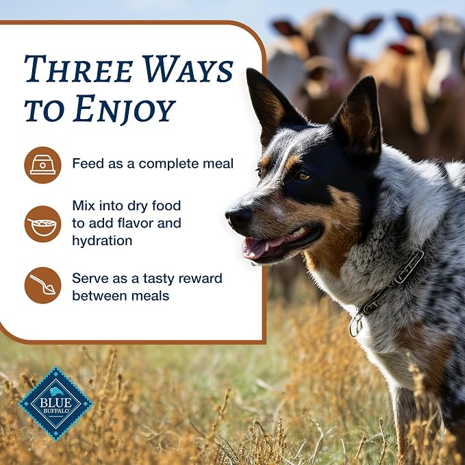 Blue Buffalo Family Favorites Turkey Adult Wet Dog Food, 12.5 oz, 12 ct | Turkey Day Feast Recipe, Real Turkey First, in Gravy, Feed as Treat, Topper, or Meal