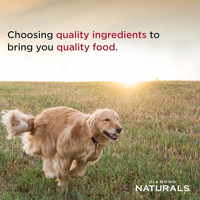 Diamond Naturals Large Breed Adult Dry Dog Food, Lamb Meal & Rice, 40lb | Pasture Raised Lamb Protein | Glucosamine & Chondroitin to Help Support Large Breed Dogs | Probiotics for Digestive Support