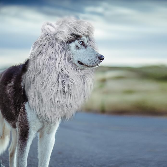 Lion Mane Wig for Dogs with Ears, Funny Pet Costumes for Halloween Christmas