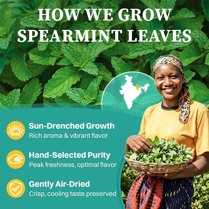 Spearmint Tea, 120 Servings | Healthy & Refreshing Mint Tea, Supports Digestion & Wellness, Caffeine-Free, Non-GMO