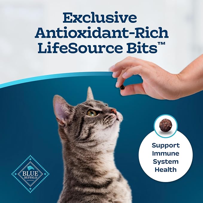 Blue Buffalo Tastefuls Salmon Adult Indoor Dry Cat Food, 10 lb | Salmon & Brown Rice Recipe, Kidney & Bladder Health, Antioxidant-Rich LifeSource Bits