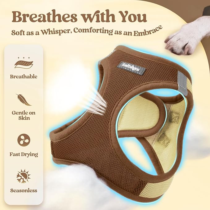 rabbitgoo Dog Harness Small Sized and Leash Set, Step-in Puppy Pet Vest | Light, Soft, Breathable Air Mesh, Easy on and Remove with Hook & Loop, Secure Reflective for Walking, Brown & Beige M