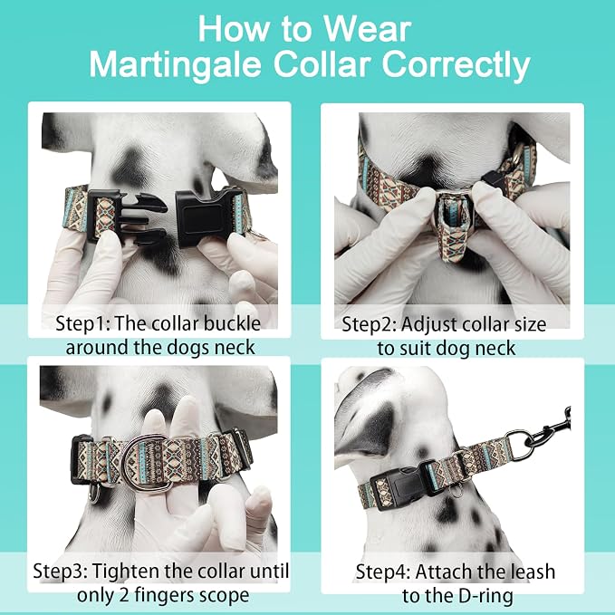 Martingale Dog Collar with Buckle Tribal Design Adjustable Escape Proof Pet Collars (Aztec, Small)