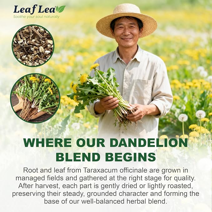 LeafLea Dandelion Root & Leaf Tea Bags, Gut Health Support, 160 Count | Natural Roasted Dandelion Herbal Blend, Te De Diente De Leon, Caffeine-Free, Vegan, Convenient 4 Pack