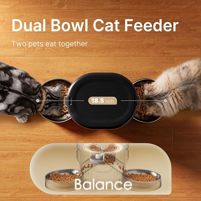 Automatic Cat Feeder for 2 Cats, Dual Cat Feeder with 5G WiFi APP | Cat Food Dispenser App Control, Timed Precise Feeding, Portion Control, 5L Auto Pet Feeder, Double Stainless, Voice Recorder