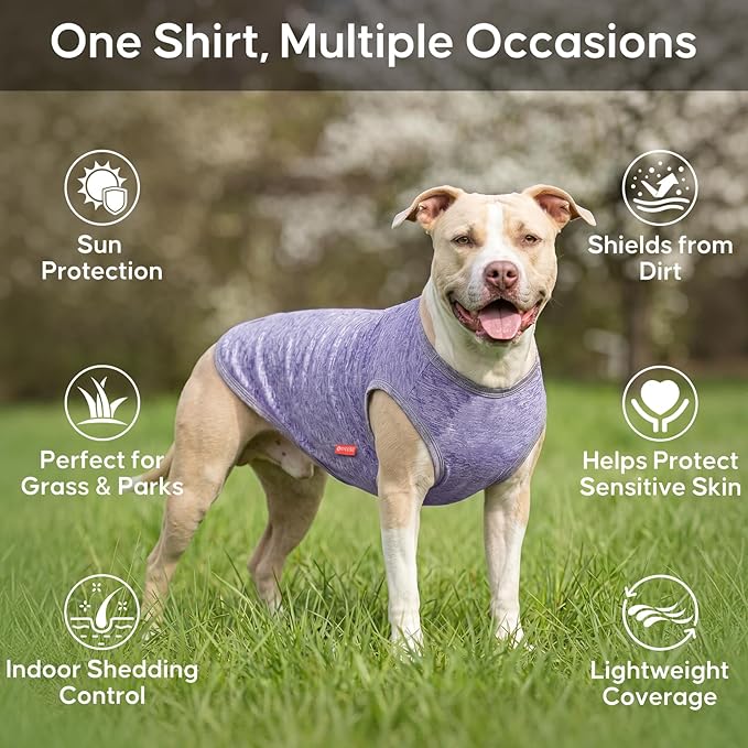 KYEESE 2Pack Dog Shirt for Small Dogs Sun Protection Tank Top for Summer | Reflective for Safety, Lightweight & Breathable, Shedding Control, Skin-Friendly for Sensitive Dogs, Easy On/Off, Quick Dry