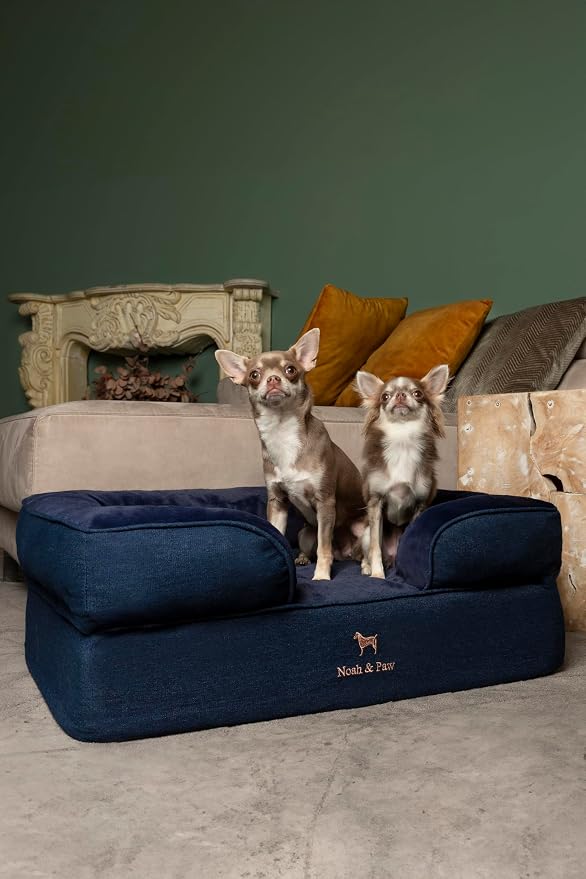NOAH & PAW Dog Bed, 28x23x11 Inch, Orthopedic Dog Beds for Medium Size Pets, Eggshell Memory Foam Infused with Cooling Gel, Inner Cover, Water Resistant, Machine Washable (Denim Sofa Collection)