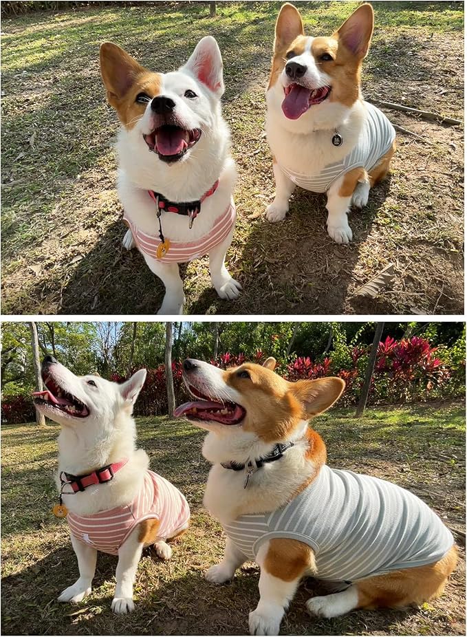 Koneseve Dog Shirt Vest Lightweight Stretchy Dog T-Shirts Soft Cool Sleeveless Stripe Vests Breathable Clothes for Puppy Kitty Cats Small Medium Large Dogs 2 Pack Pink + Green [ 2XL ]