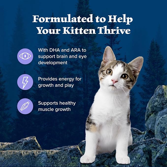 Blue Buffalo Wilderness Chicken Kitten Dry Cat Food, Grain-Free, 2 lb | High Protein, Real Chicken #1 Ingredient, DHA & ARA for Brain and Eye Development, Antioxidant-Rich LifeSource Bits