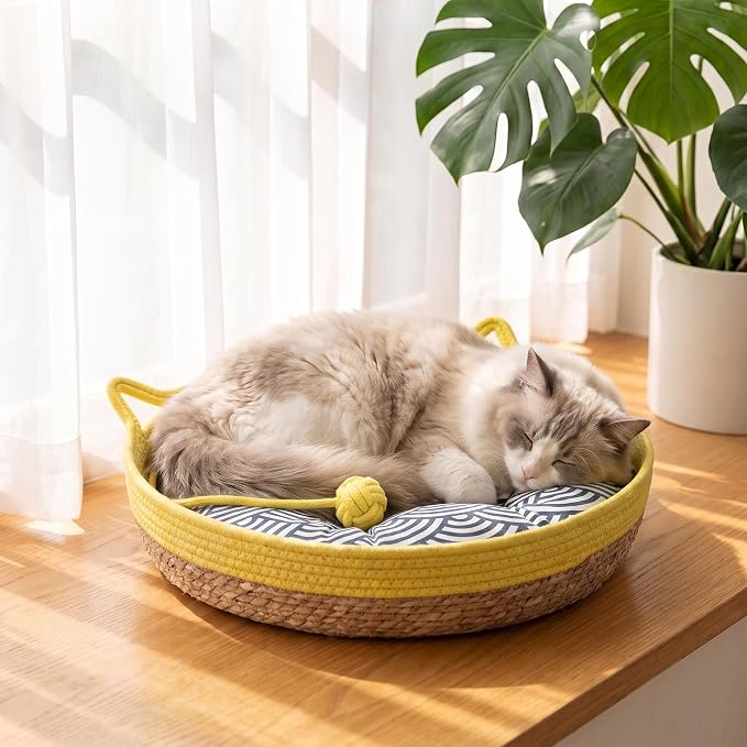 VIVIKIT Natural Cattail Cat Bed for Indoor Cats, 18.1" x 4.7"（Yellow） | Natural cattail, cotton trim, all season, scratch-proof, teaser ball, removable washable pad, for cats & dogs up to 22 lbs