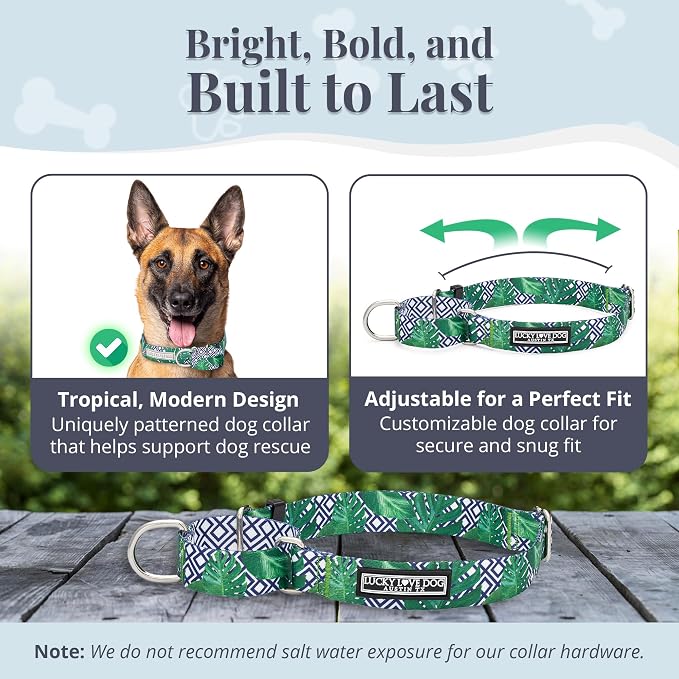 Lucky Love Dog Martingale Collar for Large Dogs Cute – Blue Laguna, Large