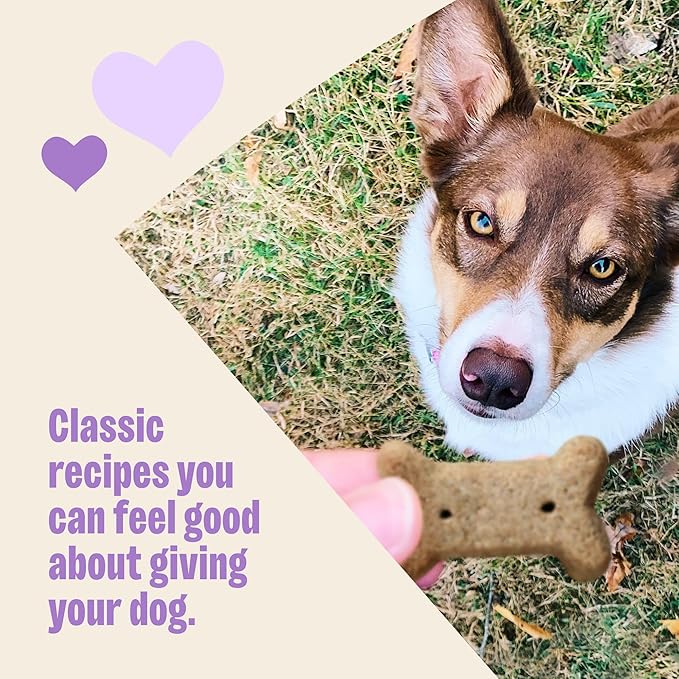 Wellness Old Mother Hubbard Classic P-Nuttier Dog Biscuits, Natural Training Treats, Peanut Butter Flavor, Large Size, 20 lb Box