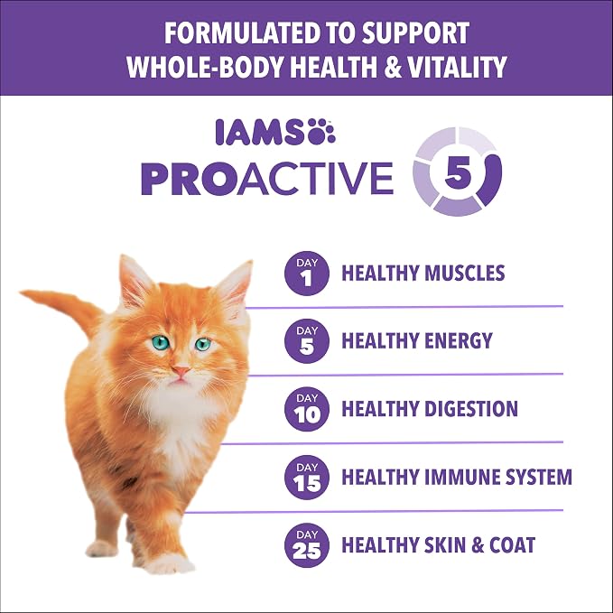 IAMS Proactive Health Healthy Kitten Dry Cat Food, Salmon, 7 lb | Salmon #1 ingredient, DHA omega-3 for brain development, prebiotics & beet pulp, Vitamin E immune support