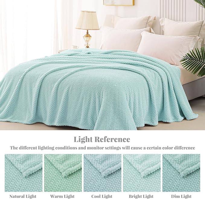 Whale Flotilla Extra Large Soft Fleece Throw Blanket for Couch | 50x70 Inch, Light Blue, Suitable for Sofa Chair Bed, Fluffy Fuzzy Jacquard Blankets for All Season, Lightweight and Cozy