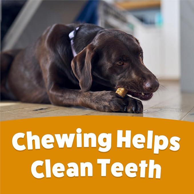 Purina Busy Chewnola Small/Medium Dog Bones, Oats & Brown Rice, 10 ct Pouch | Three-layer dog treat made with wholesome grains and a real beefhide center, long-lasting chew that helps clean teeth