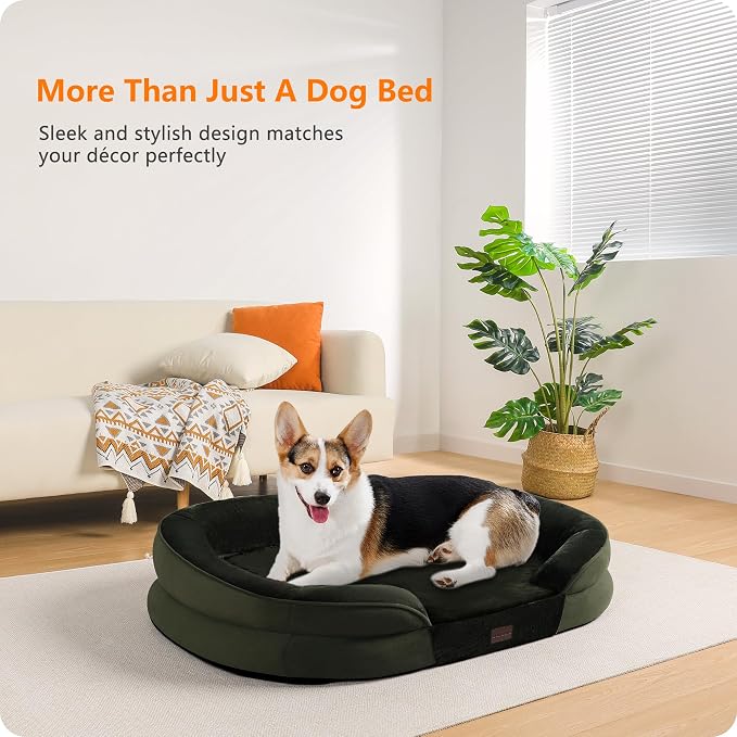 Dwanton Orthopedic Waterproof Medium Dog Bed Sofa, Gel Memory Foam, 36" | Egg-Crate Foam Dog Sofa, Washable Pet Bed with Four Sided Bolster Cushion, Removable Cover & Non-Slip Bottom, Green