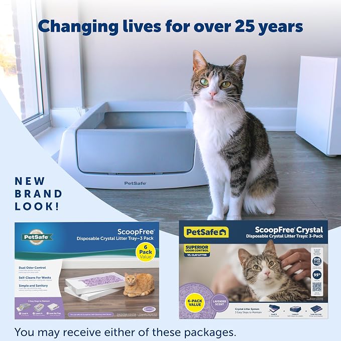 PetSafe ScoopFree Self-Cleaning Cat Litter Box Tray Refills with Lavendar Non-Clumping Crystals, 6-Pack | No-Scoop Crystal Cat Litter, 5x Faster Odor Control, 99% Dust-Free, Easy Cleanup, Leak-Proof Disposable Tray Refill with Lid