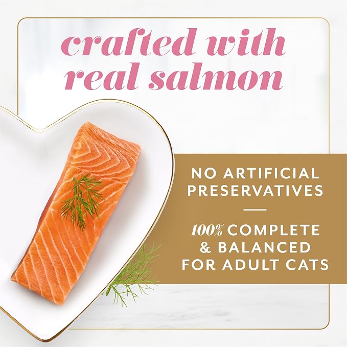 Fancy Feast Gems Pate Cat Food Mousse with Salmon and a Halo of Savory Gravy Cat Food - 4 oz. Boxes,(Pack of 16)