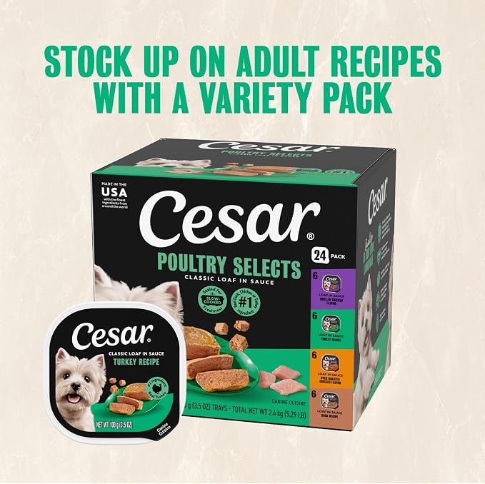 Cesar Classic Loaf in Sauce Wet Dog Food, Turkey Recipe, 3.5 oz, 24 Count | Made in USA, Real turkey #1 ingredient, no fillers, no added sugar, no artificial flavors, slow-cooked, easy peel trays