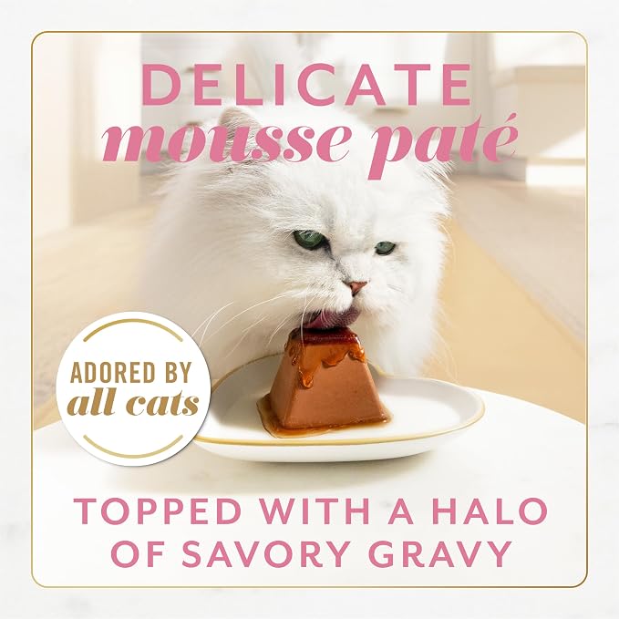 Purina Fancy Feast Gems Salmon Wet Cat Food, 4 oz boxes, 8-Pack | 16 single servings, mousse pate with savory gravy, made with no artificial preservatives, 100 percent complete and balanced