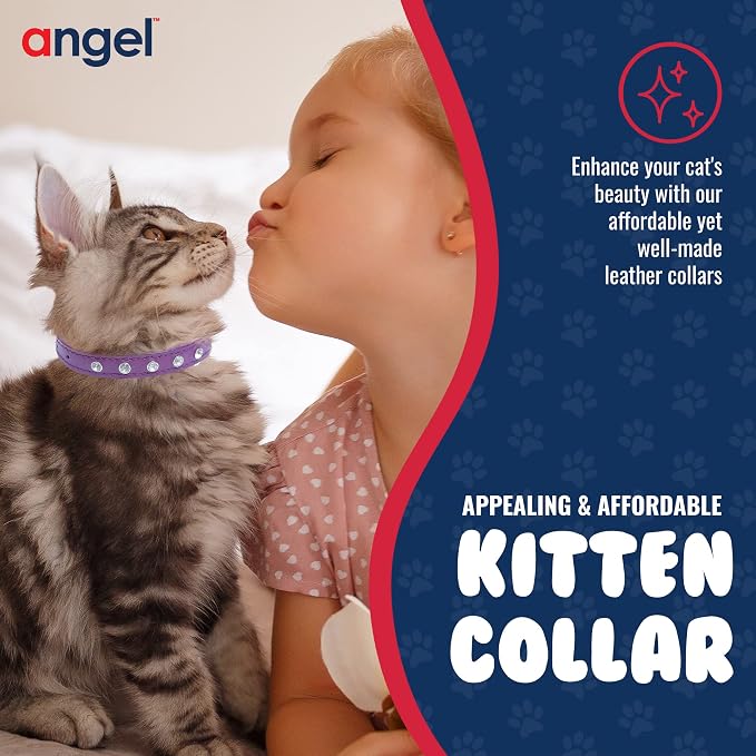 Athens Cat Collar, Leather Kitten Collar w/Rhinestones, Sturdy Breakaway Cat Collar with Bell & Elastic Stretch, Cat Accessories, Orchid Purple, 12 x ½ inches - Angel Pet Supplies