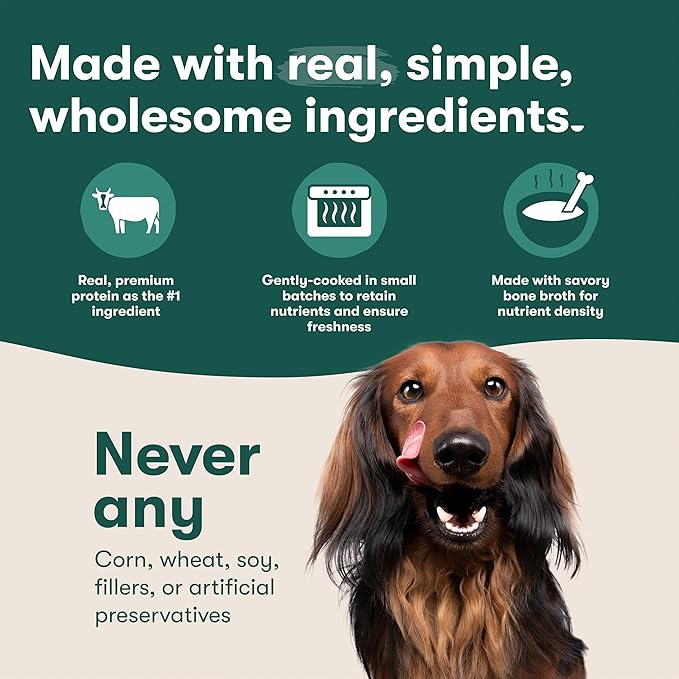 Jinx Premium Grain-Free Dry Dog Food, for All Lifestages - Grass-Fed Lamb, Sweet Potato & Carrot Dog Food with Superfoods for Immune Support & Probiotics for Digestive Support - No Fillers - 4lb