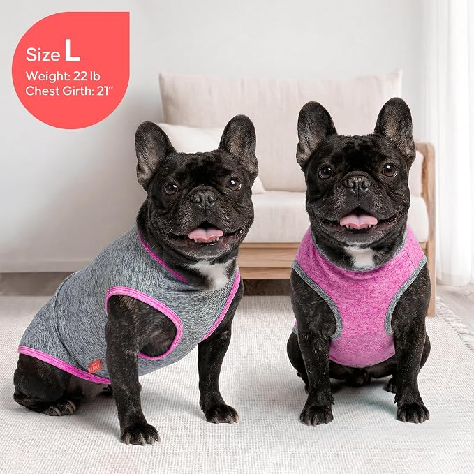 KYEESE 2Pack Dog Shirt for Small Dogs Sun Protection Tank Top for Summer | Reflective for Safety, Lightweight & Breathable, Shedding Control, Skin-Friendly for Sensitive Dogs, Easy On/Off, Quick Dry