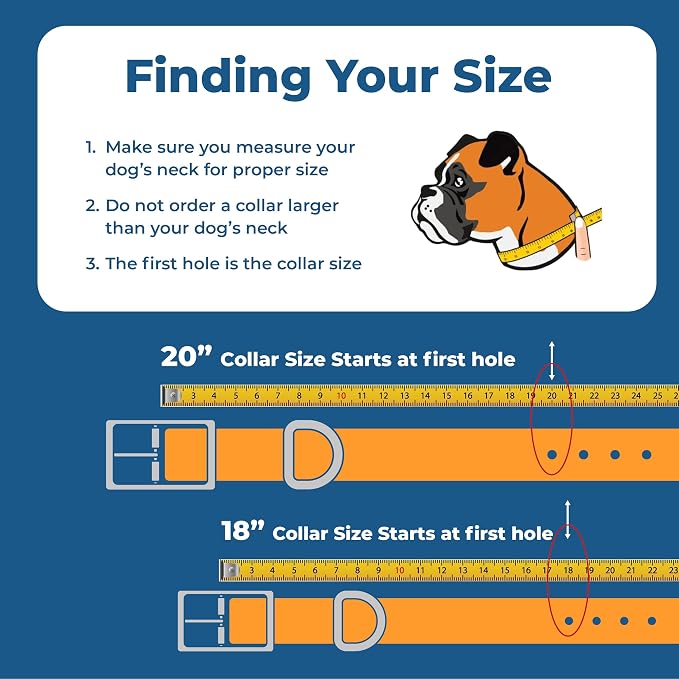 GoTags Embroidered Reflective Dog Collars with Metal Buckle, Personalized Dog Collar Custom Embroidered with Pet Name and Phone Number, Sizes for Puppy and Dogs Extra Small, to Medium and Large