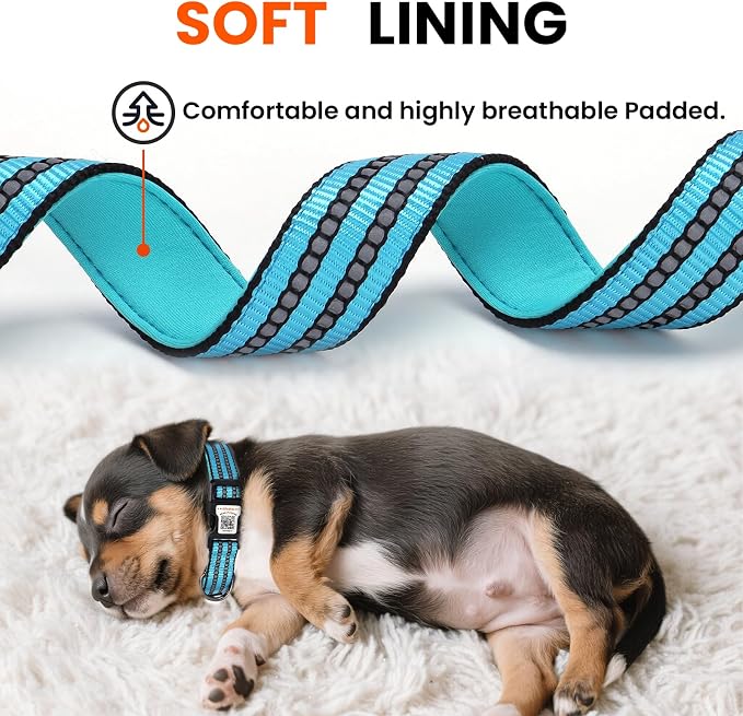 Personalized Dog Collar with QR Code Dog Tag, Light Blue M | Anti-lost, 1000D nylon, reflective, padded, XS-L(8"-24"), QR buckle shares lost pet profile, location alerts when scanned