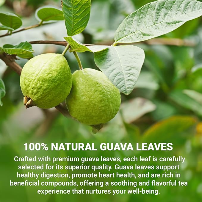 LeafLea Guava Leaf Tea Bags, Guava Leaves Tea, Caffeine-Free, 120 Count | Smooth, Mellow Guava Leaves Tea For Everyday Sipping — Foil-Wrapped Freshness, Sugar-Free, 120 Bags In A 3-Box Value Pack
