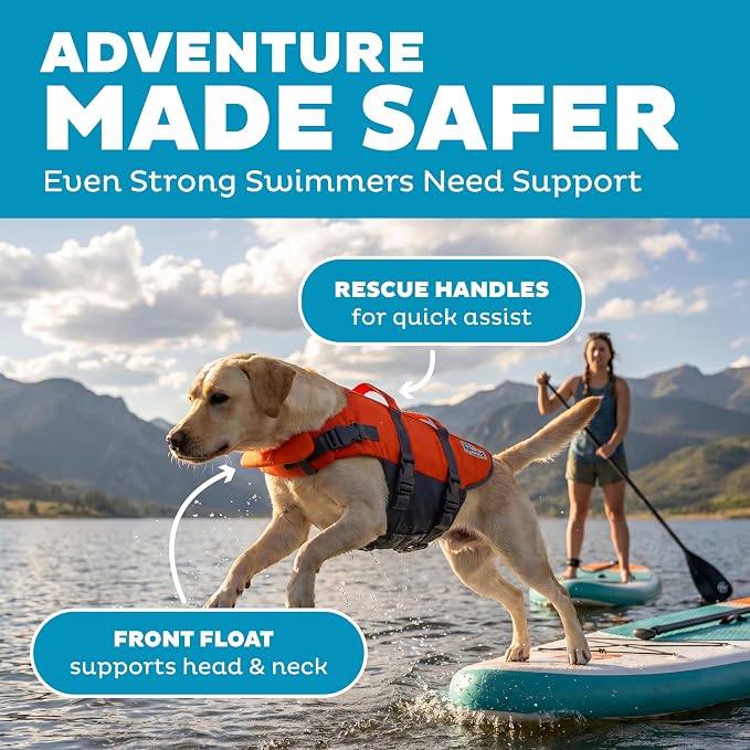 Outward Hound Granby Splash Dog Life Jacket, Life Vest, Orange, Large | Max Buoyancy, Adjustable Fit, Head/Neck Support, Rescue Handle, Reflective, Swimming & Boating, Large Dogs (28–32" Girth)