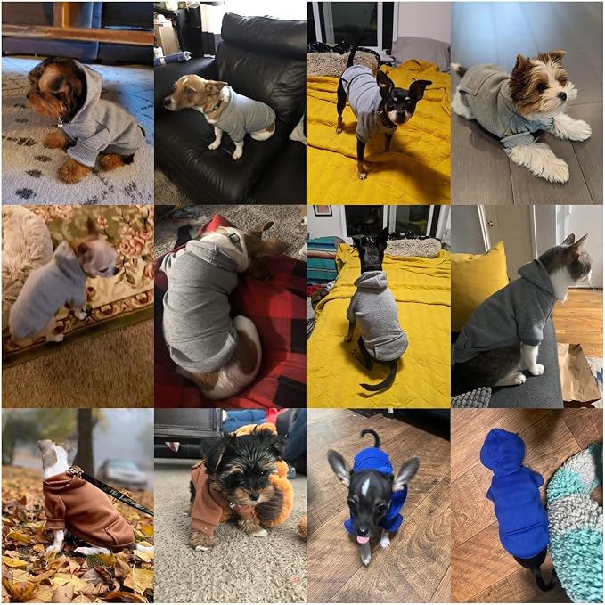 Soft Dog Hoodies for Small Dogs, Warm Fleece Puppy Clothes with Pocket | Jecikelon cold weather coat, cute puppy costume, breathable sweatshirt for dogs girl & boy, machine washable, easy on & off