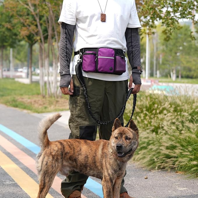 Dog Treat Pouch for Training – Hands-Free Waist Belt with Built-in Poop Bag Dispenser, Water Bottle Holder & Phone Pocket, Includes Reflective Bungee Leash (Purple)