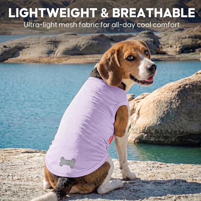 KYEESE 2Pack Dog Shirt, Lightweight Sun Protection Dog T Shirts for Small Dogs Boy Girl, Breathable Mesh Tank Top Sleeveless Pet Reflective Vest, Soft Summer Dogs Clothes, Dinosaur+Purple, L